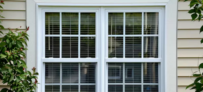 Custom Double Hung Windows in Lehigh Acres, FL