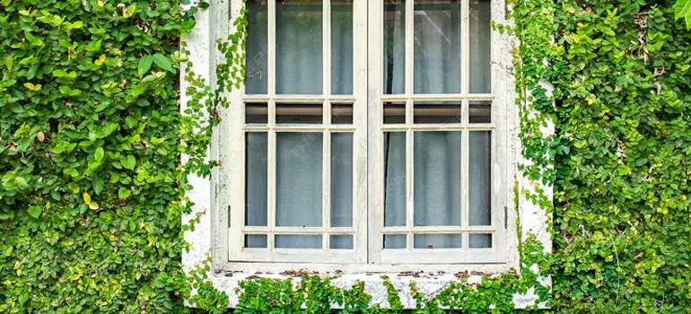 Garden Window Repair Near Me in Lehigh Acres, FL