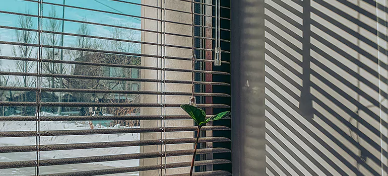 Commercial Window Blinds in Lehigh Acres, FL