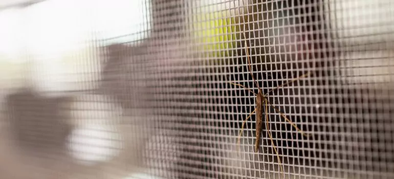 Repair Mosquito Mesh For Windows in Lehigh Acres, FL