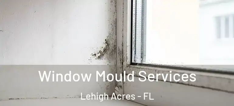  Window Mould Services Lehigh Acres - FL